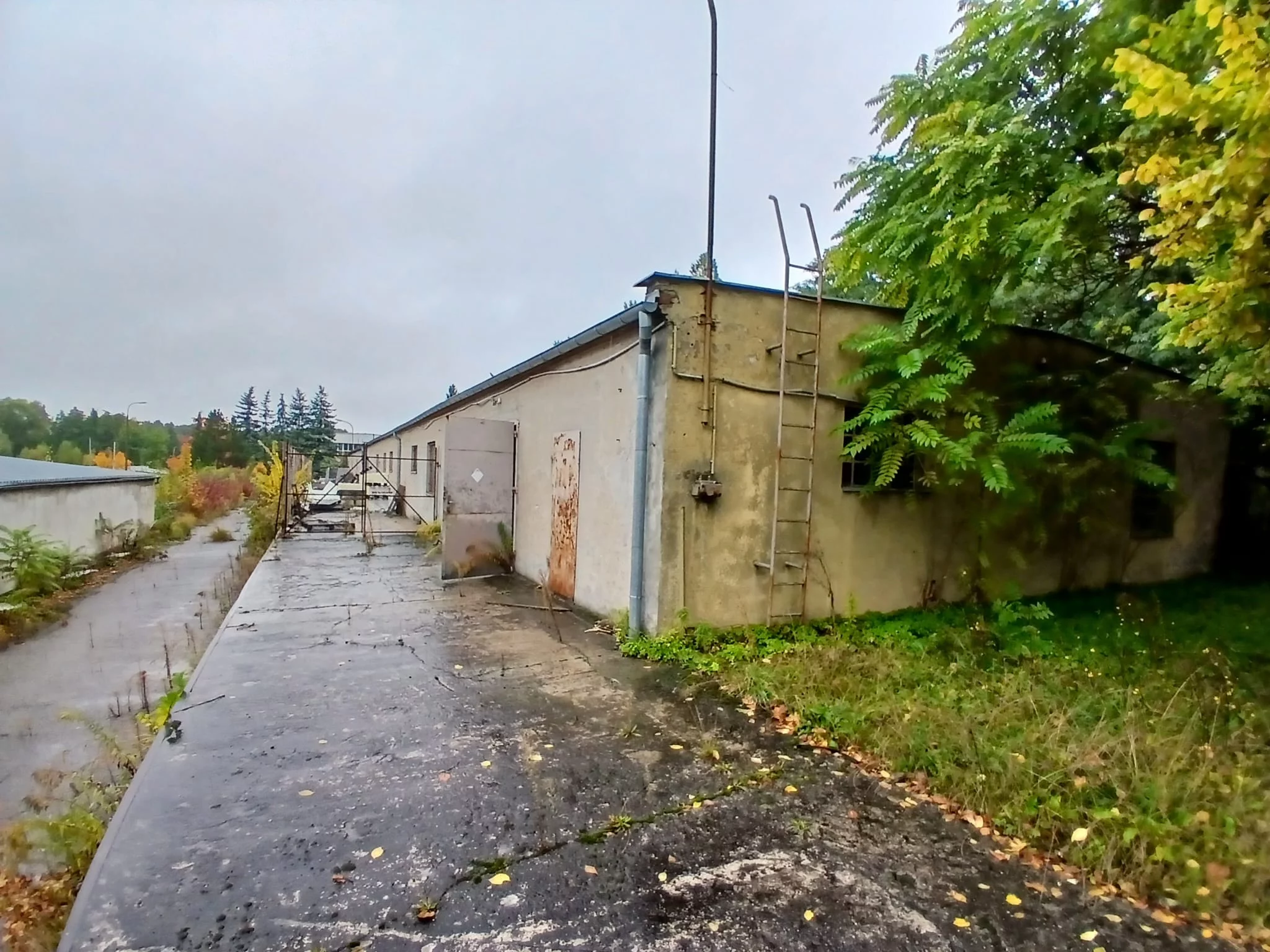 Obiekt 10 564,00 m², oferta nr , TTT-000001079, Trzcianka