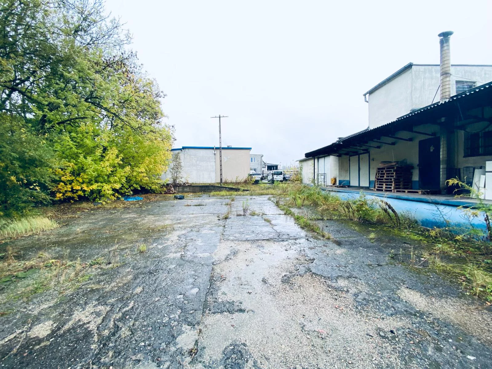 Obiekt 1 888,00 m², oferta nr , TTT-000001080, Wałcz