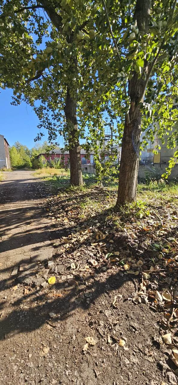Obiekt 701,00 m², oferta nr , TTT-00000693, Zabrze