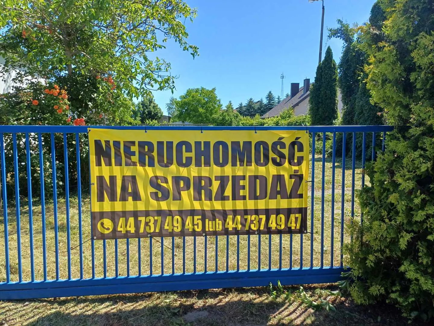TTT-00000923 - zdjęcie nr 1