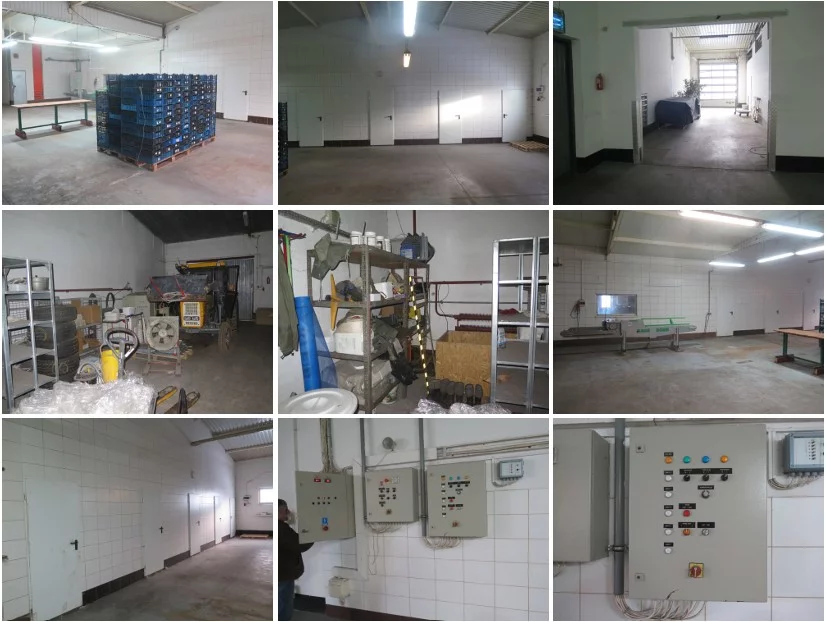 Magazyn 2 776,20 m², oferta nr , TTT-00000754, Rostarzewo
