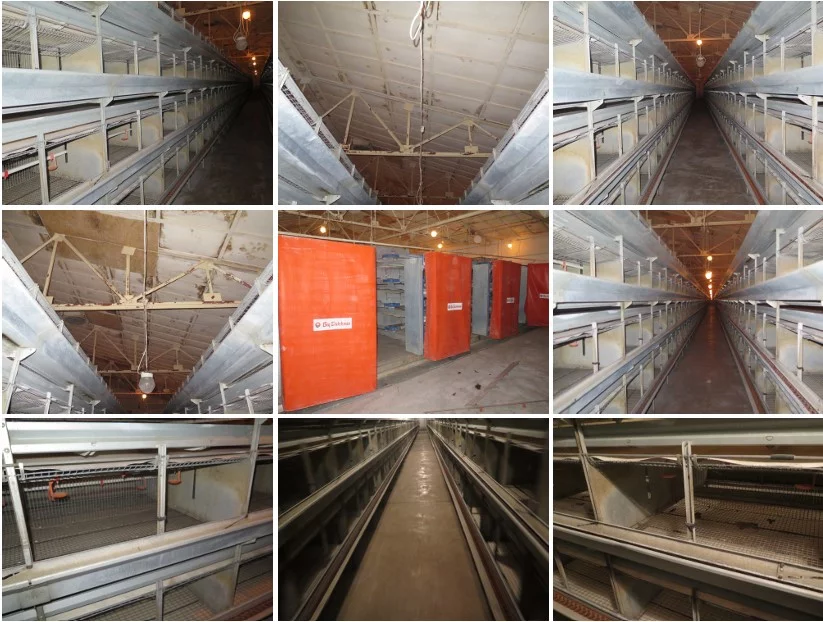 Magazyn 2 776,20 m², oferta nr , TTT-00000754, Rostarzewo