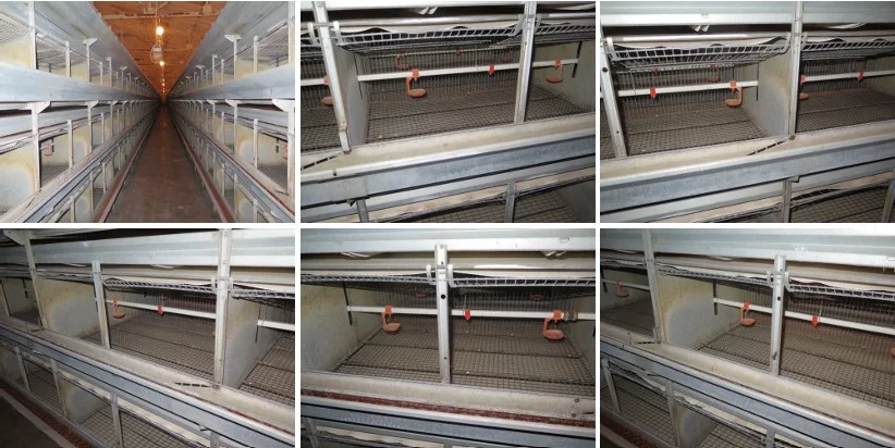 Magazyn 2 776,20 m², oferta nr , TTT-00000754, Rostarzewo