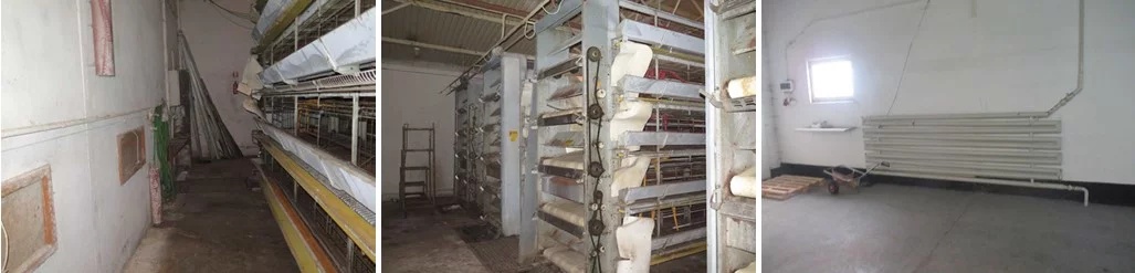 Magazyn 1 553,80 m², oferta nr , TTT-00000755, Rostarzewo