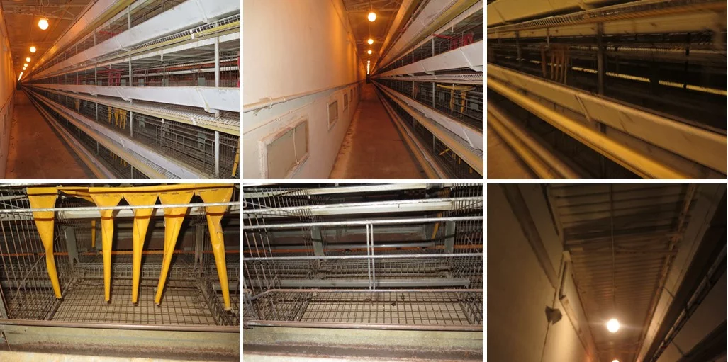 Magazyn 1 553,80 m², oferta nr , TTT-00000755, Rostarzewo