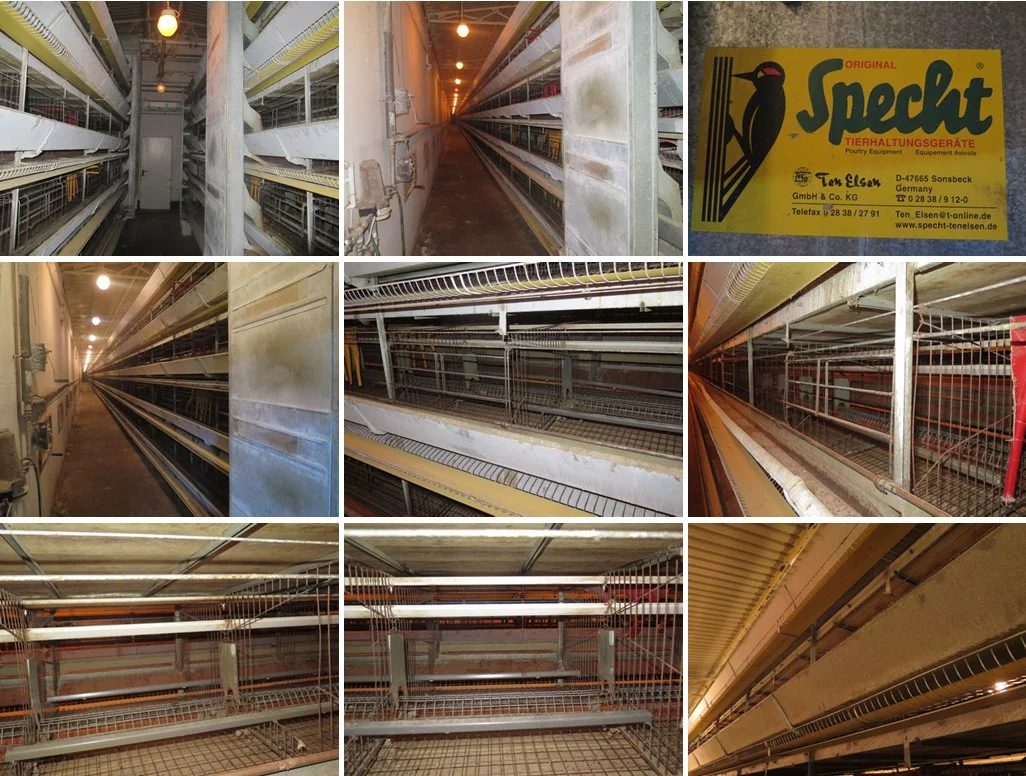 Magazyn 1 553,80 m², oferta nr , TTT-00000755, Rostarzewo