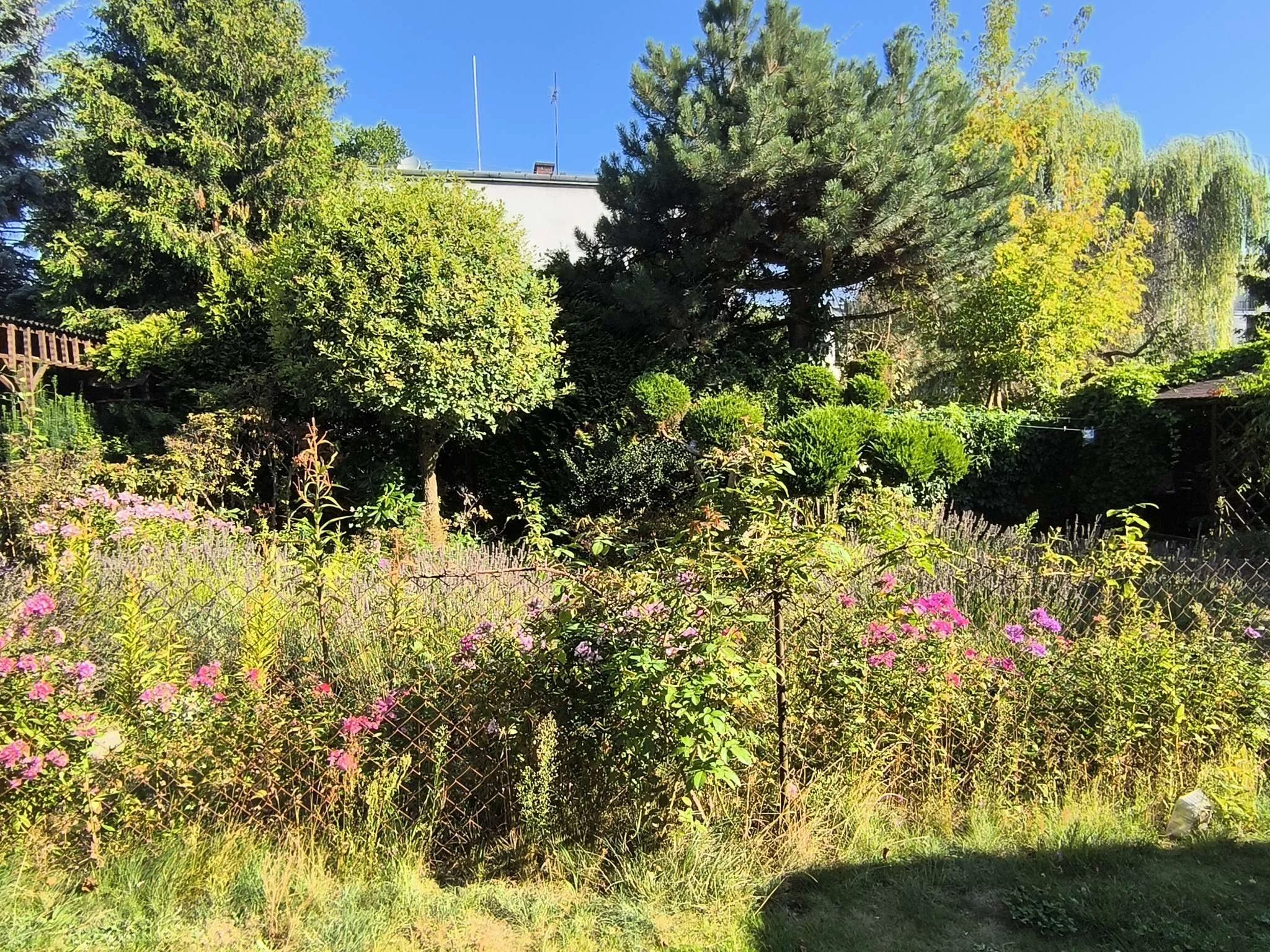 3 pokoje, mieszkanie 60,00 m², parter, oferta nr , TTT-0001015, Piaseczno