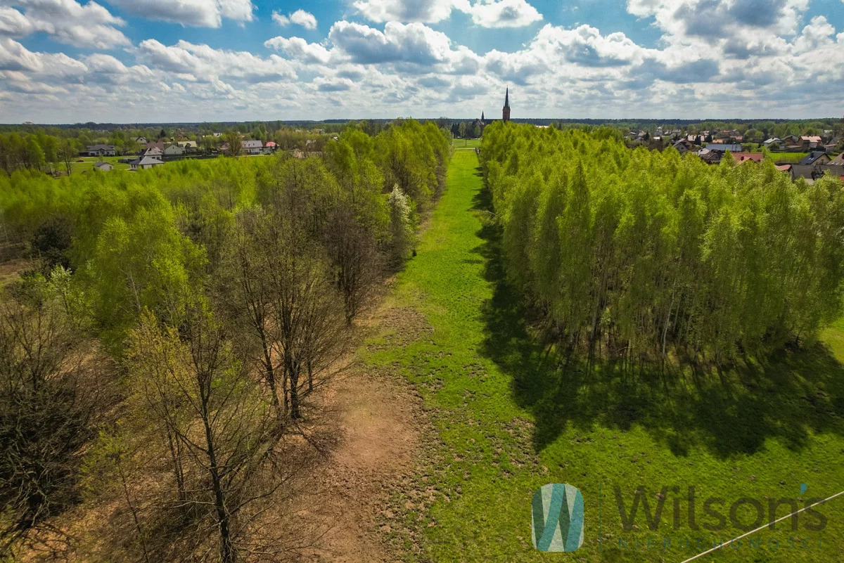 WIL657256 - zdjęcie nr 2