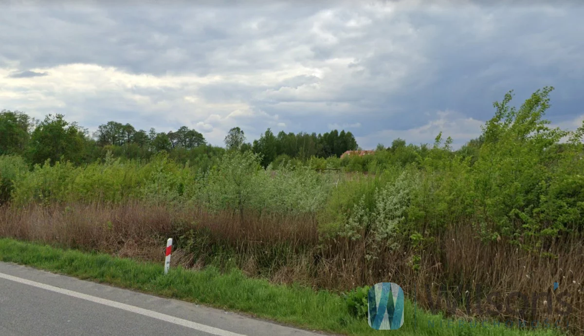 WIL336763 - zdjęcie nr 0