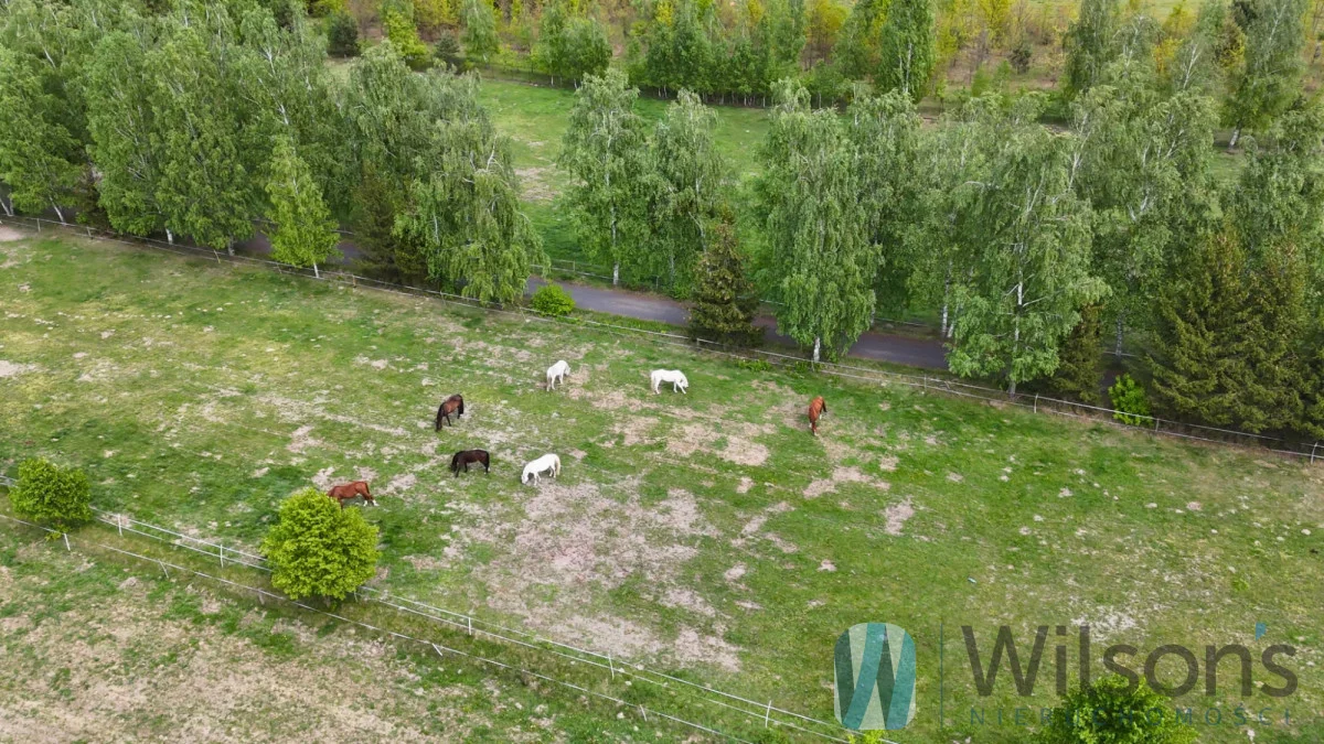 WIL284147 - zdjęcie nr 4