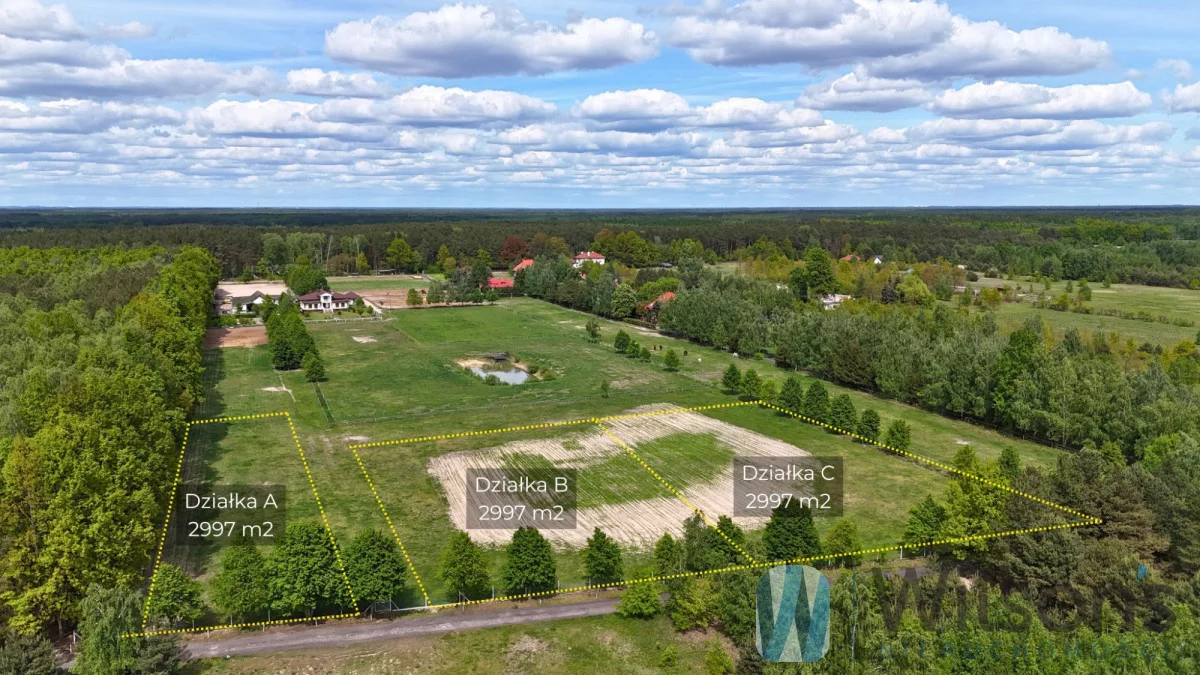 Działka 3 000,00 m², oferta nr , WIL942030, Borzęcin Duży