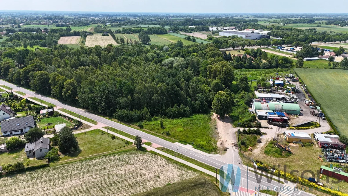 WIL334659 - zdjęcie nr 4