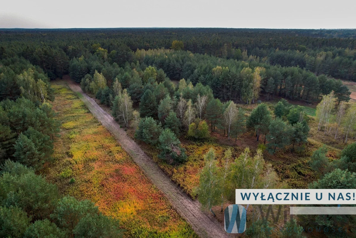 Apartamenty WIL415359 Czosnów Cząstków Polski