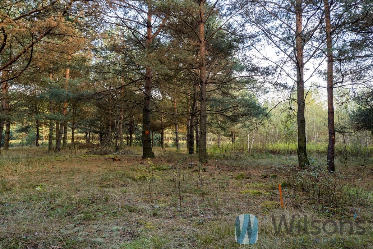 Działka 3 000,00 m², oferta nr , WIL415359, Czosnów, Cząstków Polski