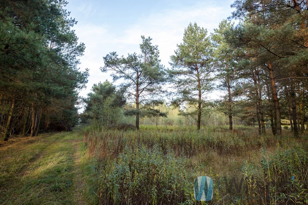 Działka 3 000,00 m², oferta nr , WIL415359, Czosnów, Cząstków Polski