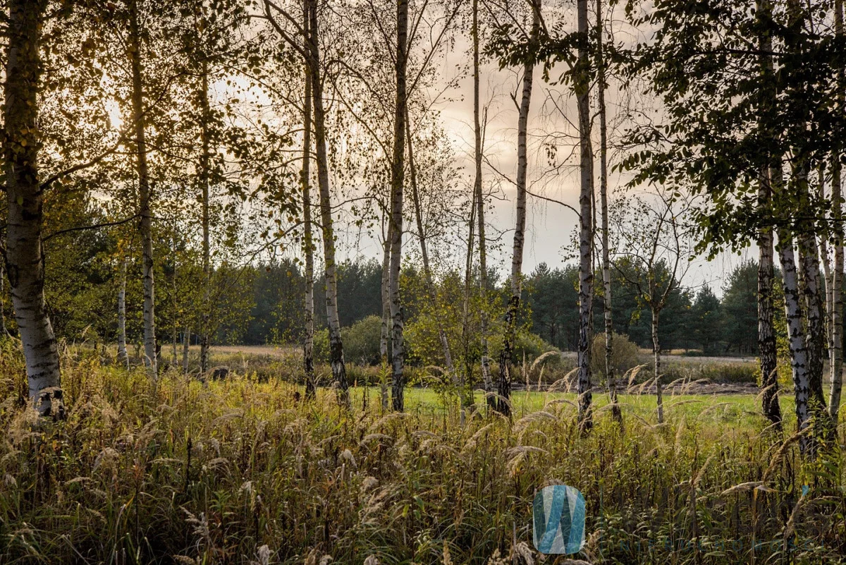 Działka 3 000,00 m², oferta nr , WIL415359, Czosnów, Cząstków Polski