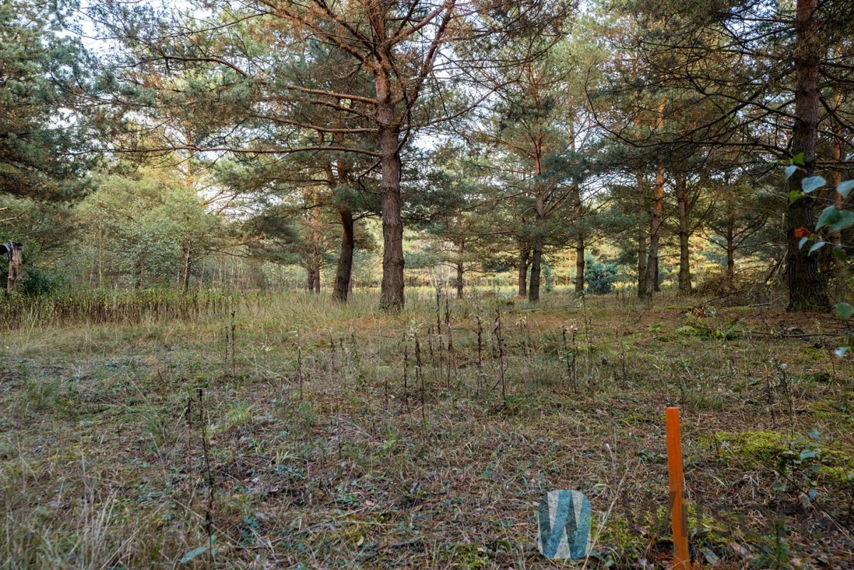 Działka 3 000,00 m², oferta nr , WIL415359, Czosnów, Cząstków Polski