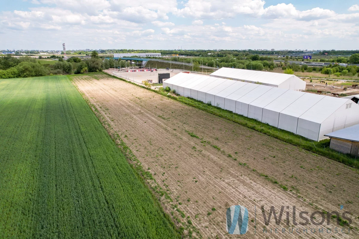 WIL871500 - zdjęcie nr 4