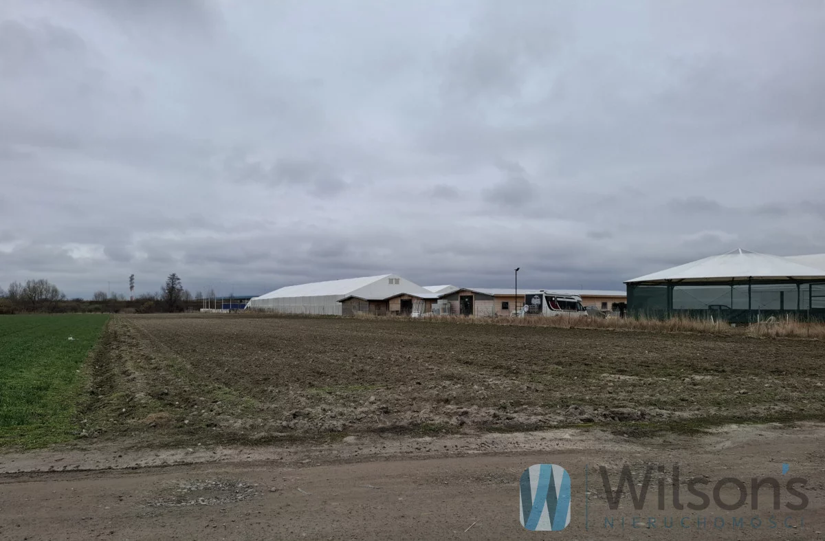 Działka 10 379,00 m², oferta nr , WIL871500, Dawidy