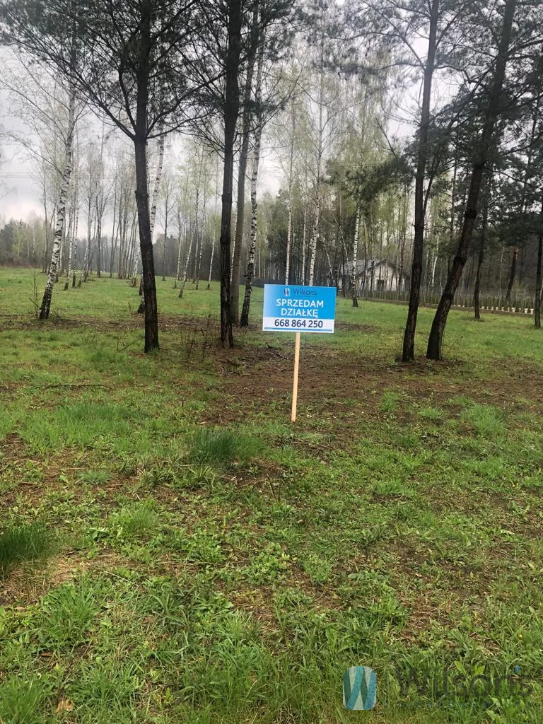 WIL655160 - zdjęcie nr 0