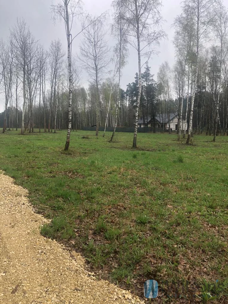 WIL655160 - zdjęcie nr 2
