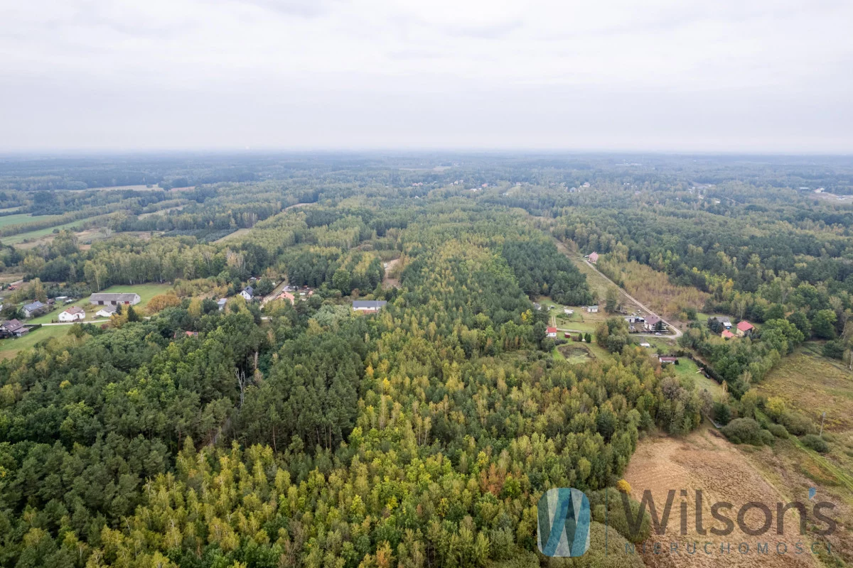 Działka 133 548,00 m², oferta nr , WIL204023, Nowa Bukówka, Gajowa