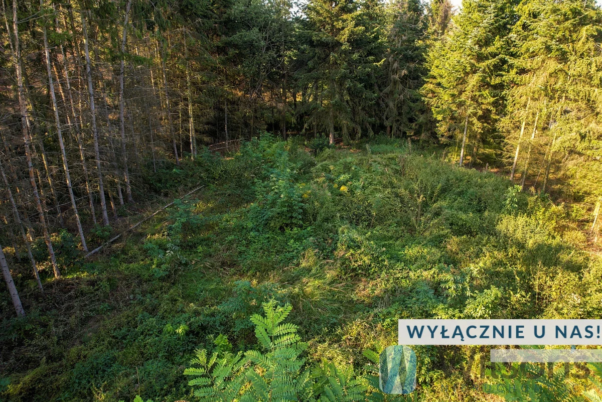 Apartamenty WIL142897 Rembertów Główna