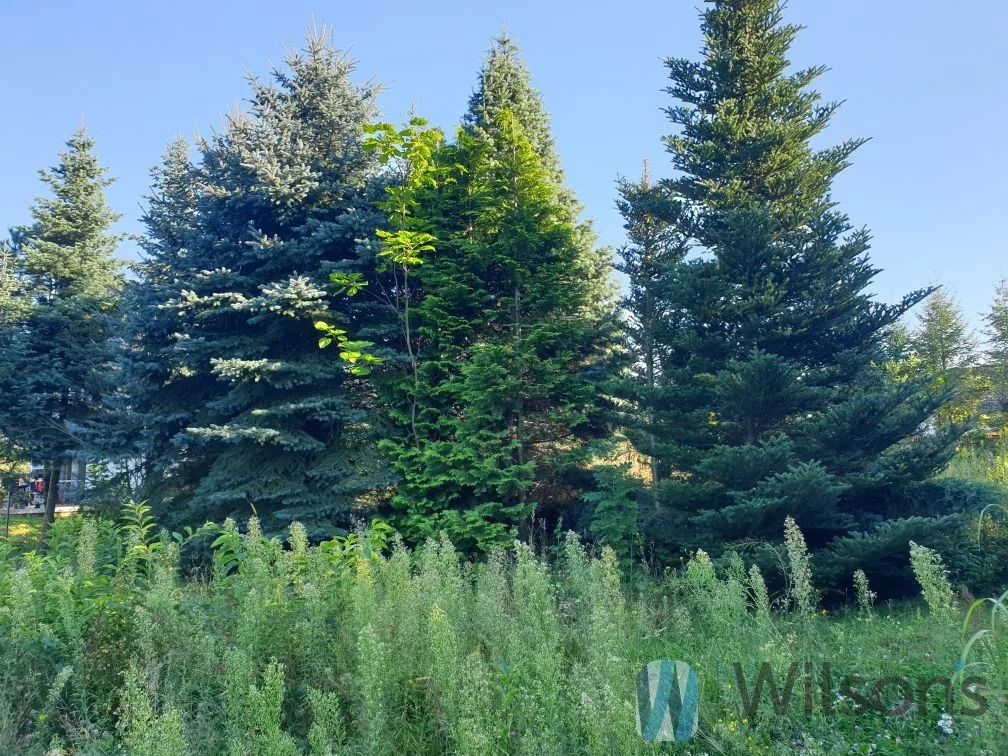 Działka 2 787,00 m², oferta nr , WIL284228, Muszyna, Grunwaldzka