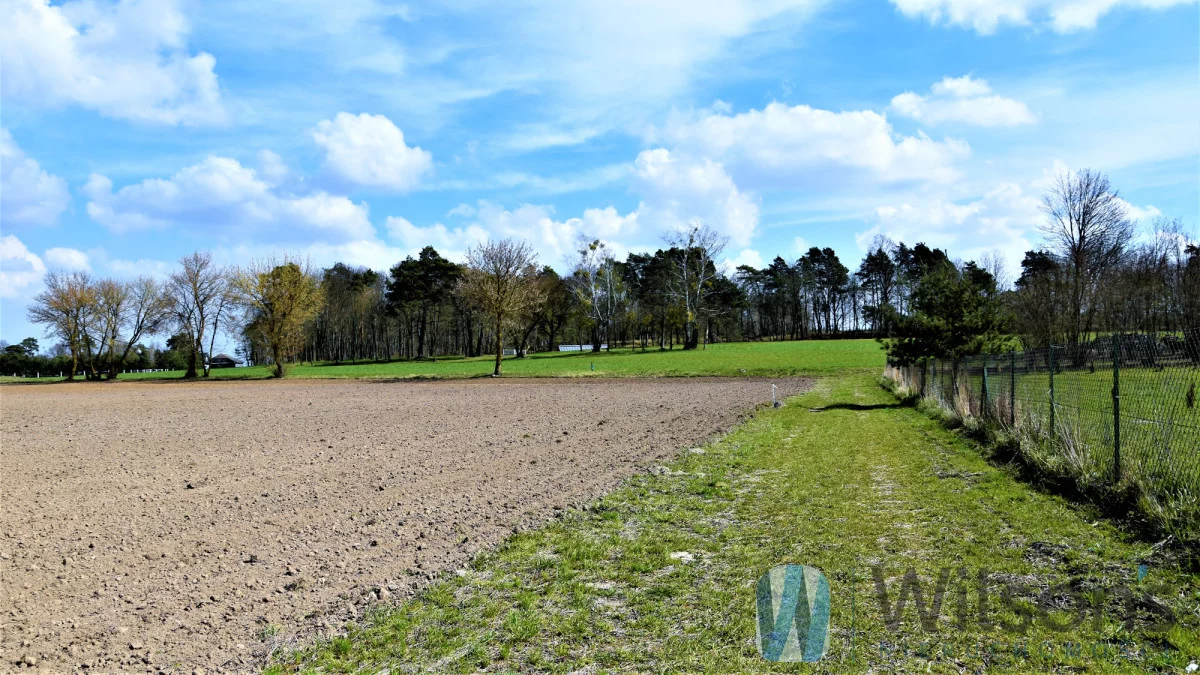 WIL619354 - zdjęcie nr 0