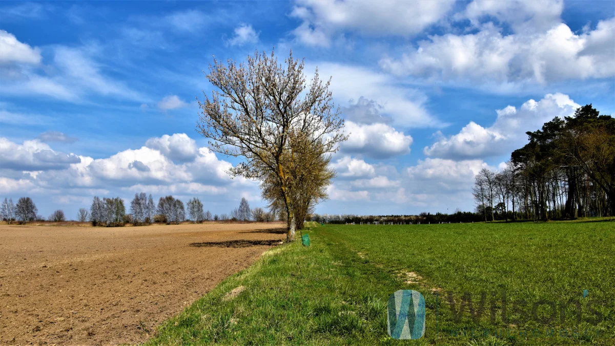 WIL619354 - zdjęcie nr 1