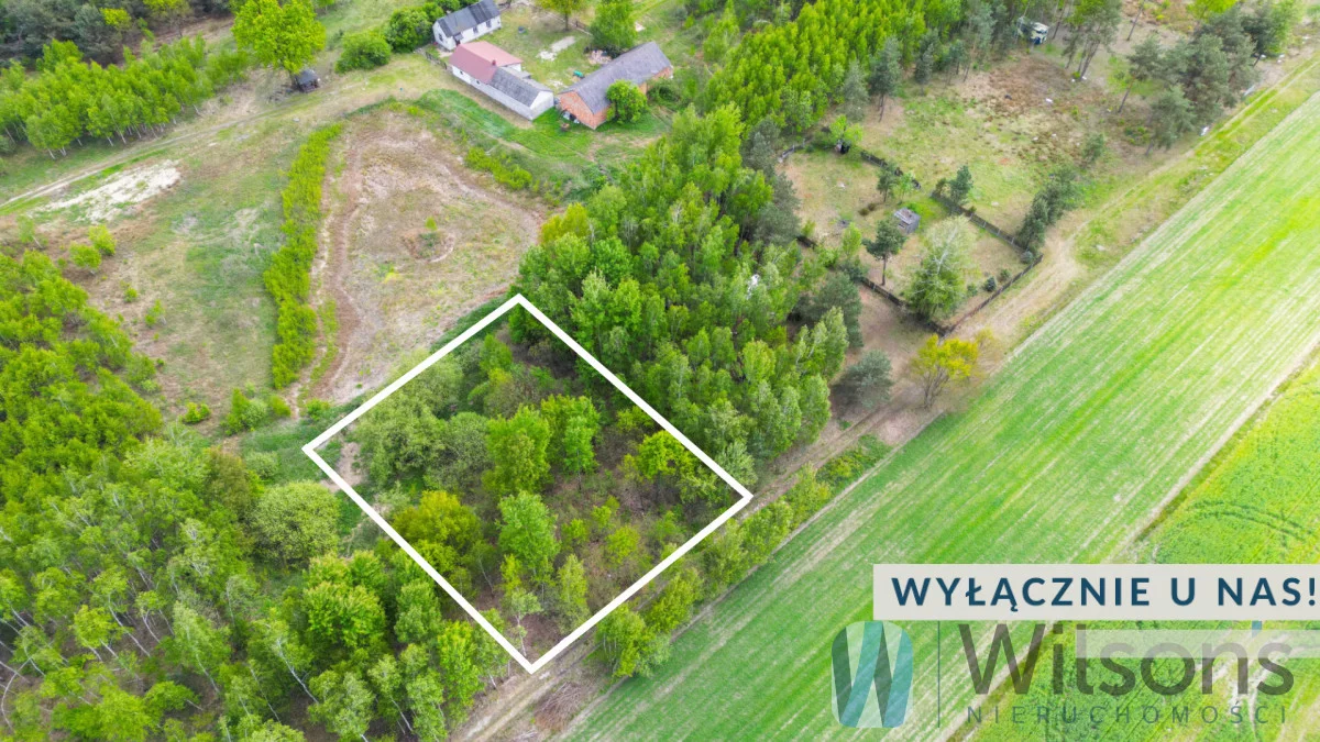 Apartamenty WIL693143 Jasienica Jagodowa