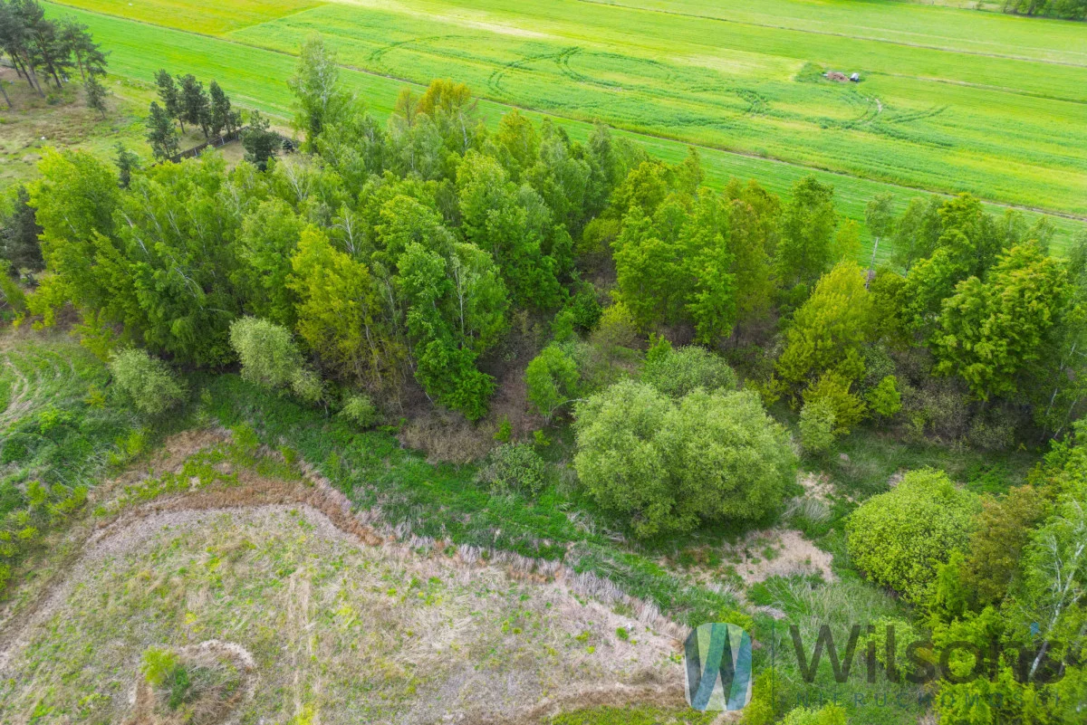 Działka 1 481,00 m², oferta nr , WIL693143, Jasienica, Jagodowa