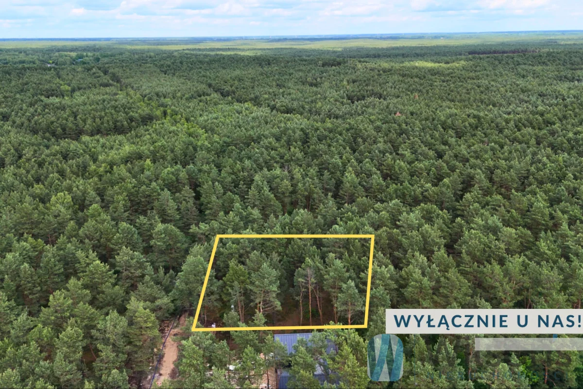 Apartamenty WIL812601 Józefów