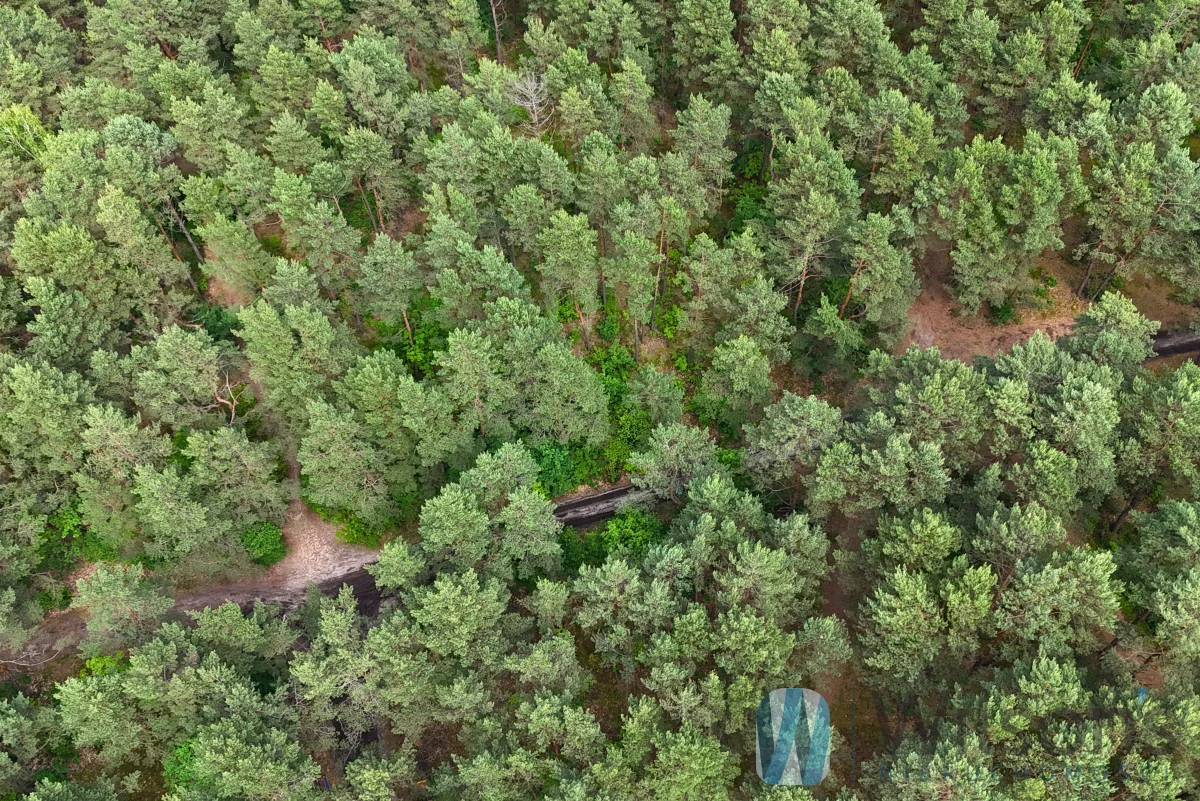 WIL812601 - zdjęcie nr 0