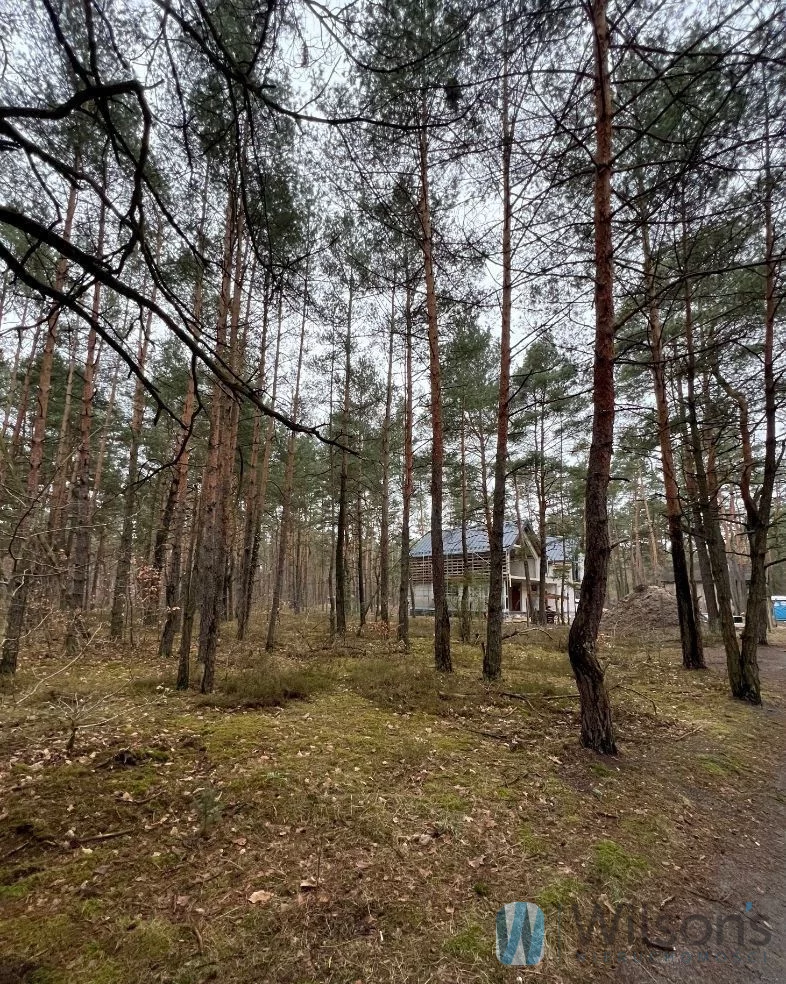 WIL812601 - zdjęcie nr 2