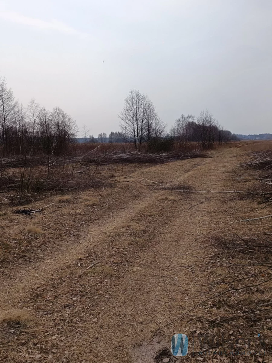 WIL842934 - zdjęcie nr 0