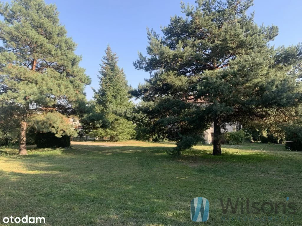 Działka 3 379,00 m², oferta nr , WIL599466, Wołomin, Kobyłkowska