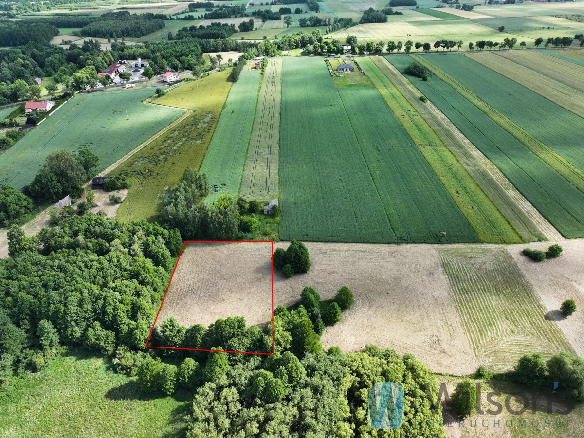 WIL232559 - zdjęcie nr 2