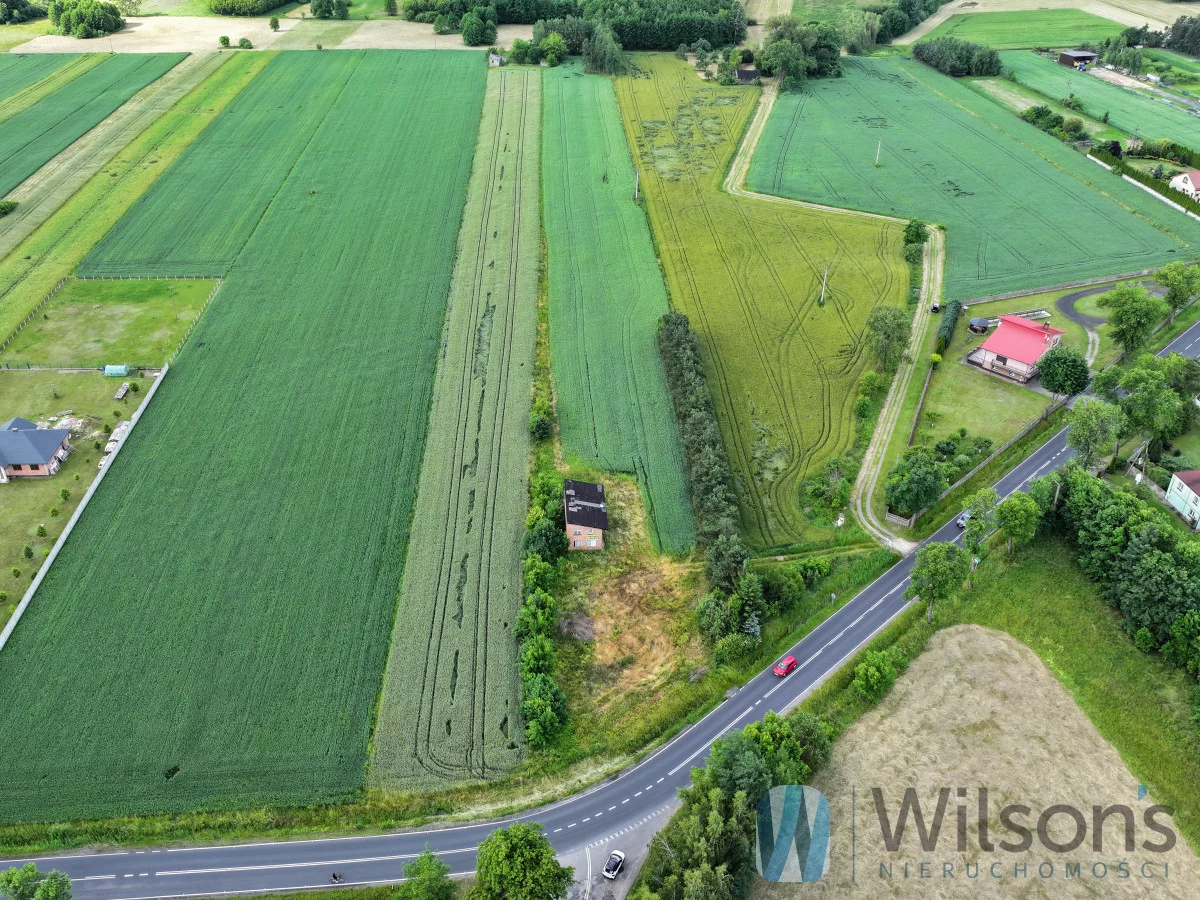 WIL232559 - zdjęcie nr 3