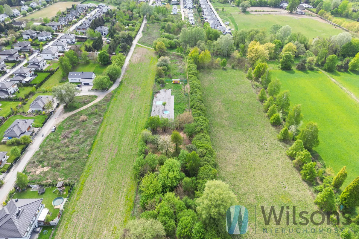 WIL798479 - zdjęcie nr 3