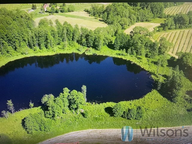 WIL563441 - zdjęcie nr 0