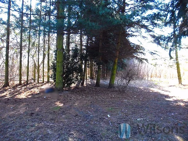 WIL840014 - zdjęcie nr 3