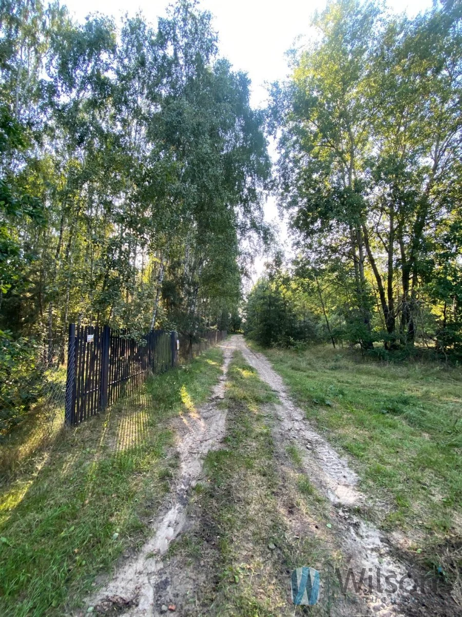 WIL447344 - zdjęcie nr 2