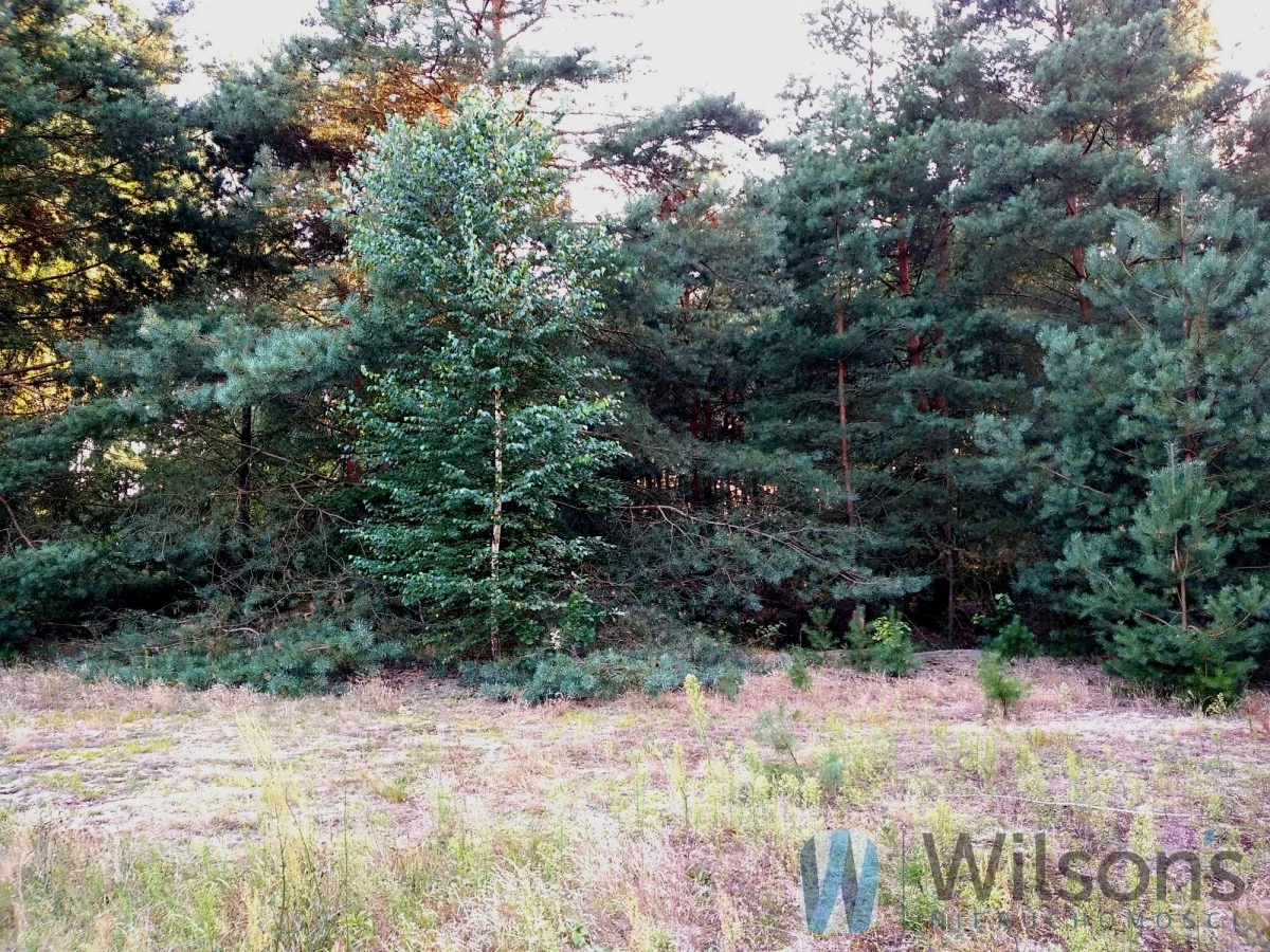 WIL186700 - zdjęcie nr 0