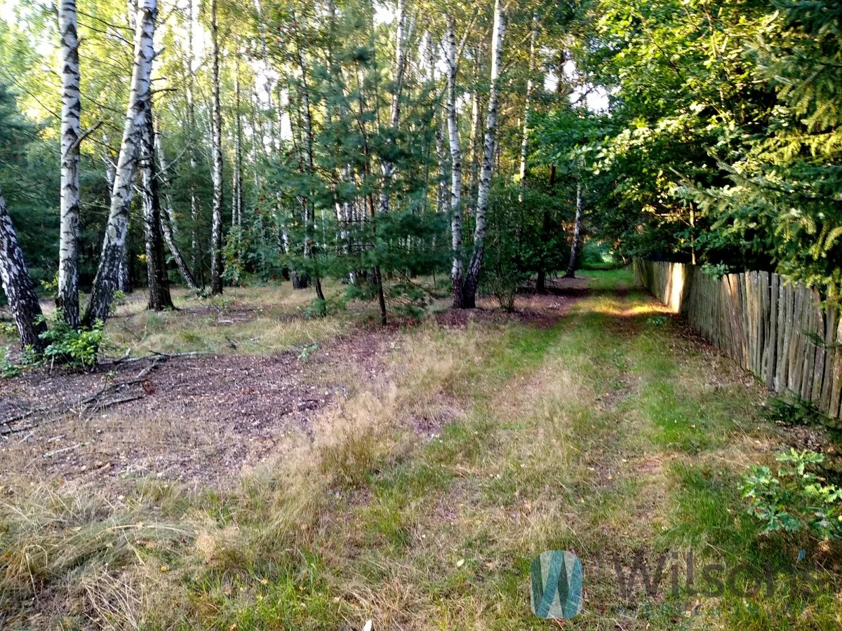 Apartamenty WIL694581 Niemianowice
