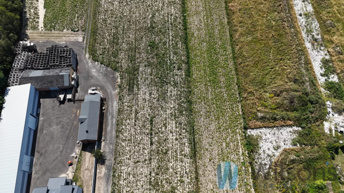 Działka 11 913,00 m², oferta nr , WIL487759, Pogroszew, Nowowiejska
