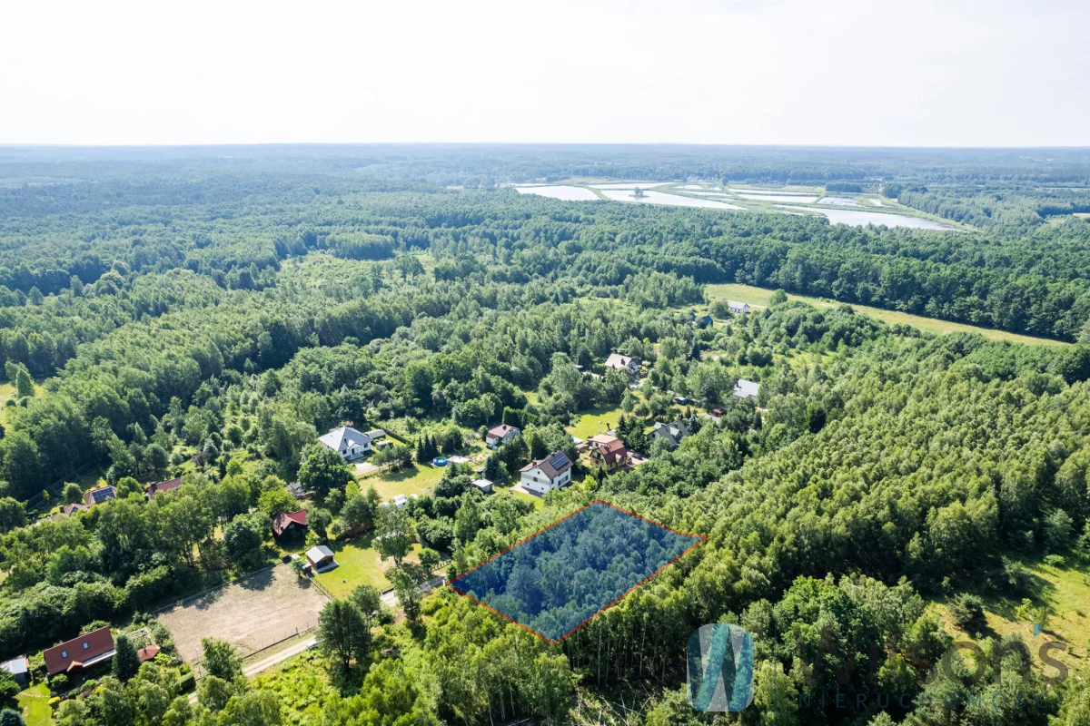 WIL285335 - zdjęcie nr 0