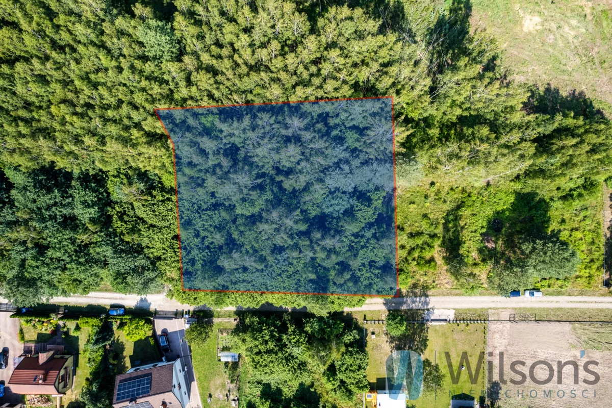 WIL285335 - zdjęcie nr 1