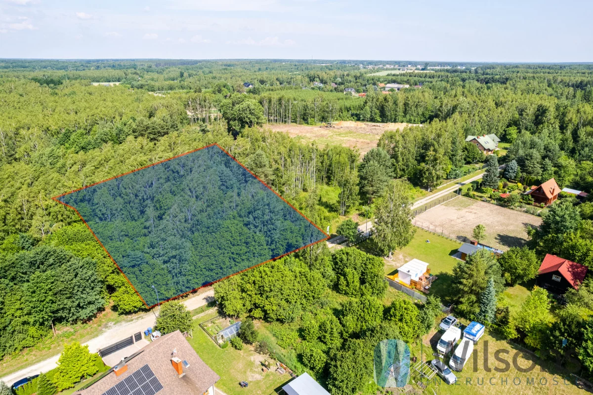 WIL285335 - zdjęcie nr 2