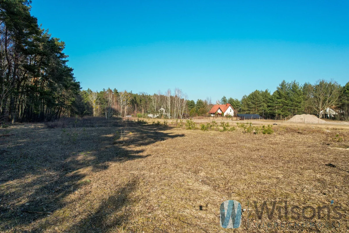 WIL122470 - zdjęcie nr 4